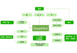 智慧医疗解决方案-DeepMed